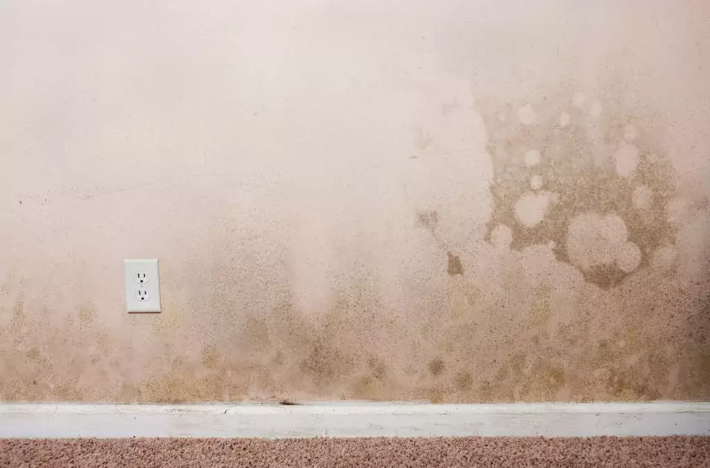 Drywall gets wet